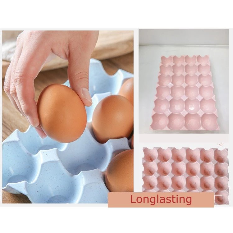 Egg Tray 24 Grid