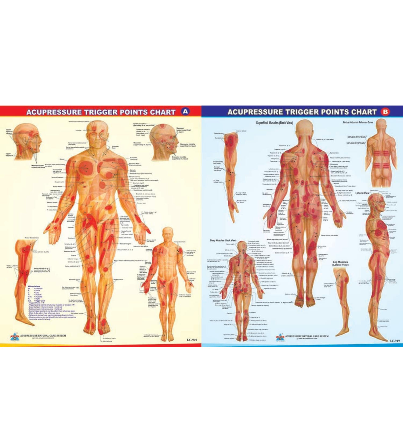 Acupressure Handroller