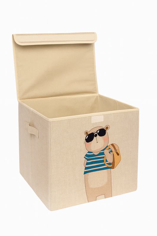 Cloth/Toy Organizer With Lid