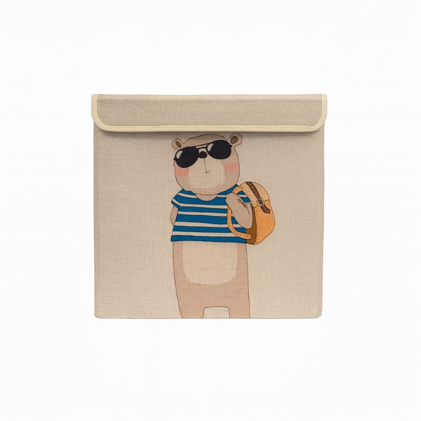 Cloth/Toy Organizer With Lid