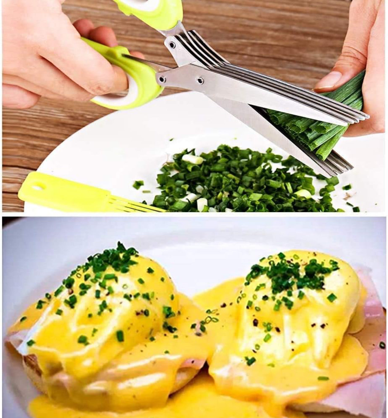 Vegetable SS Herbs Scissor