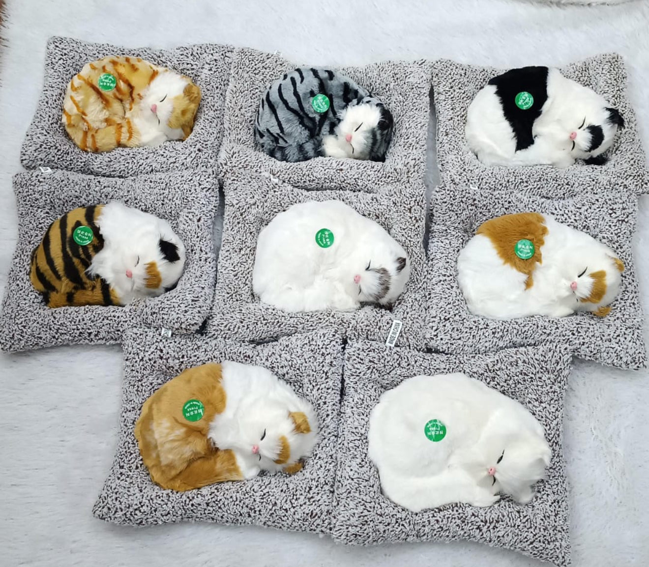 Sleeping Cat With Meaw Sound | Musical Cat