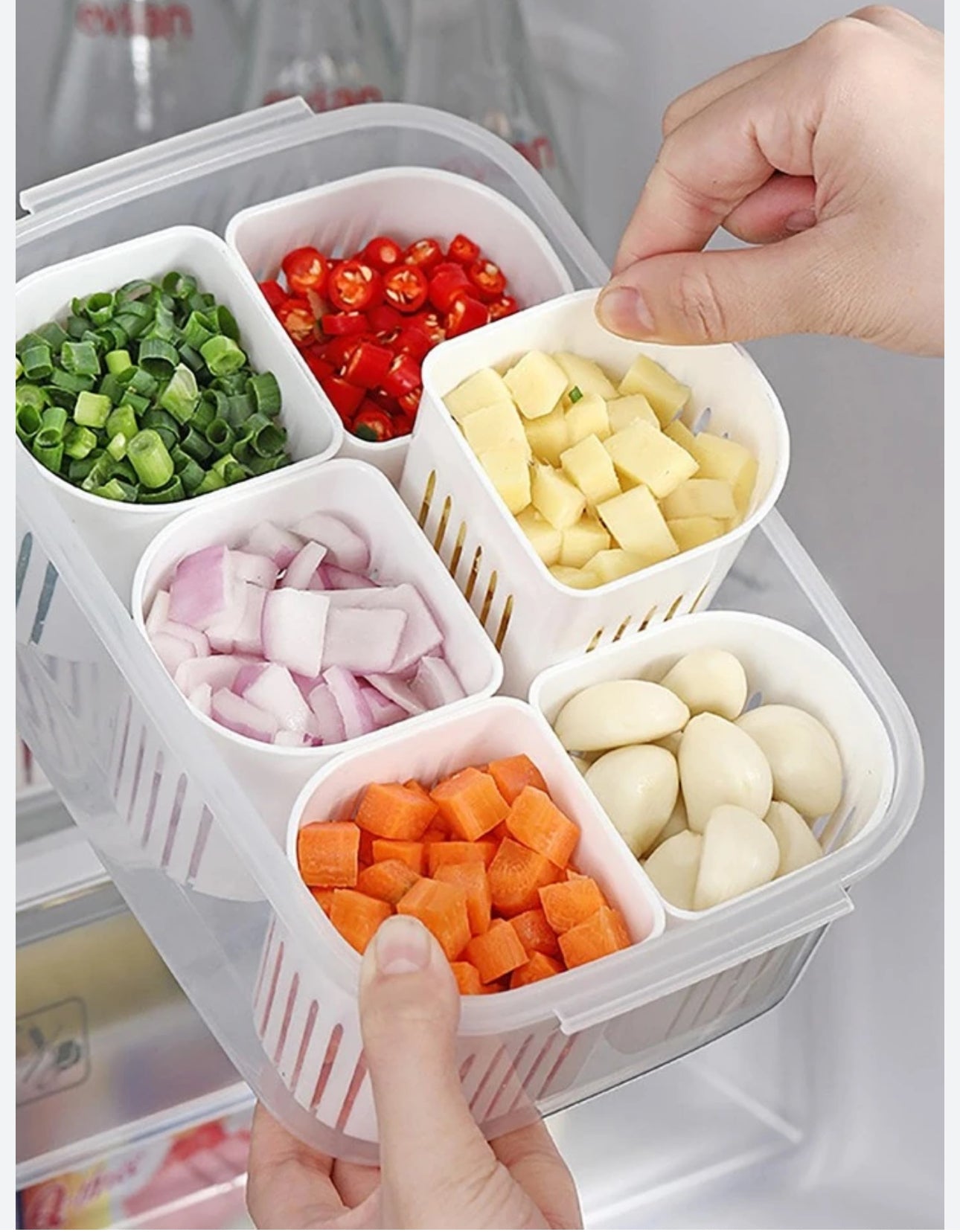 Fridge Box with Partiton-6 Grid