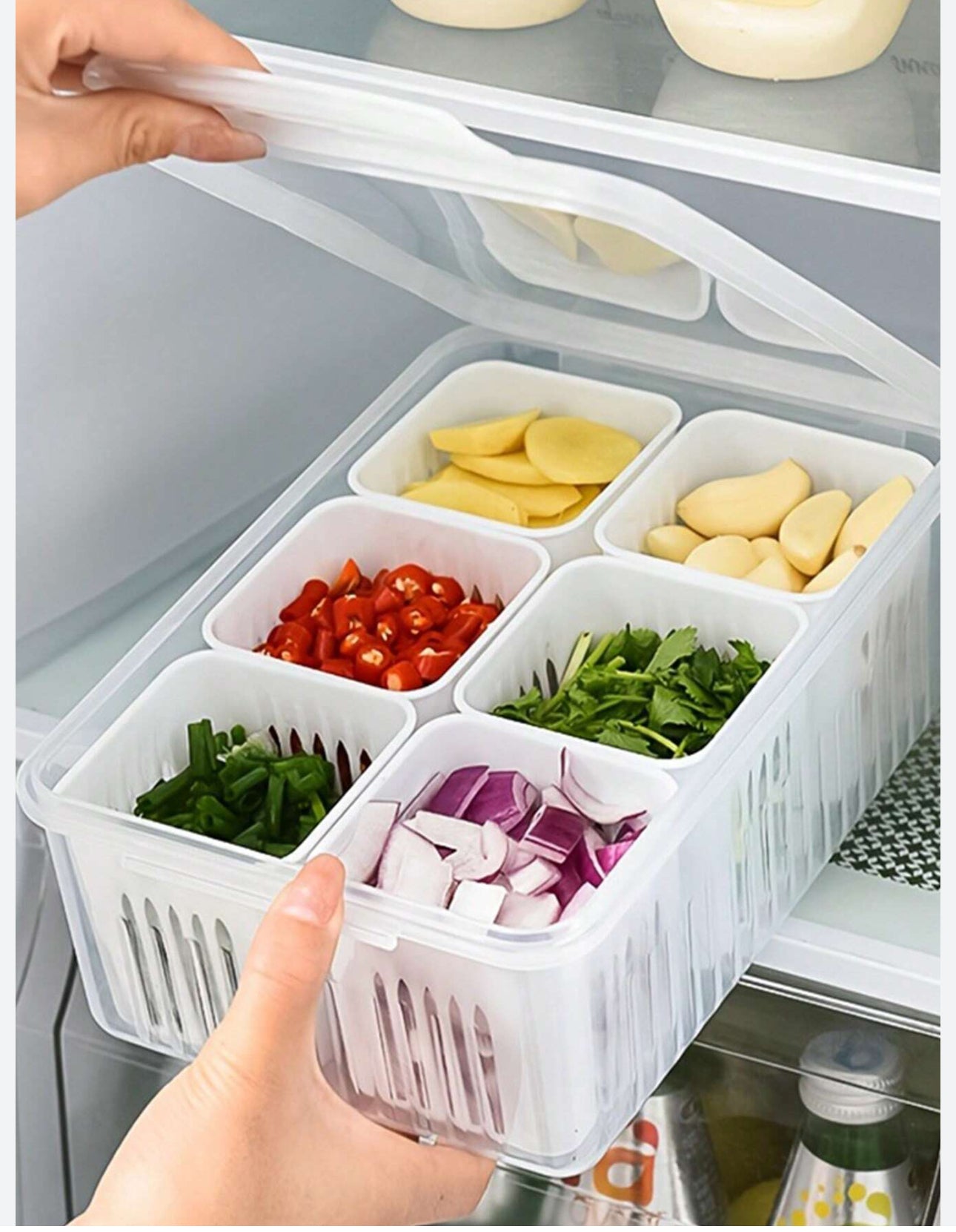 Fridge Box with Partiton-6 Grid