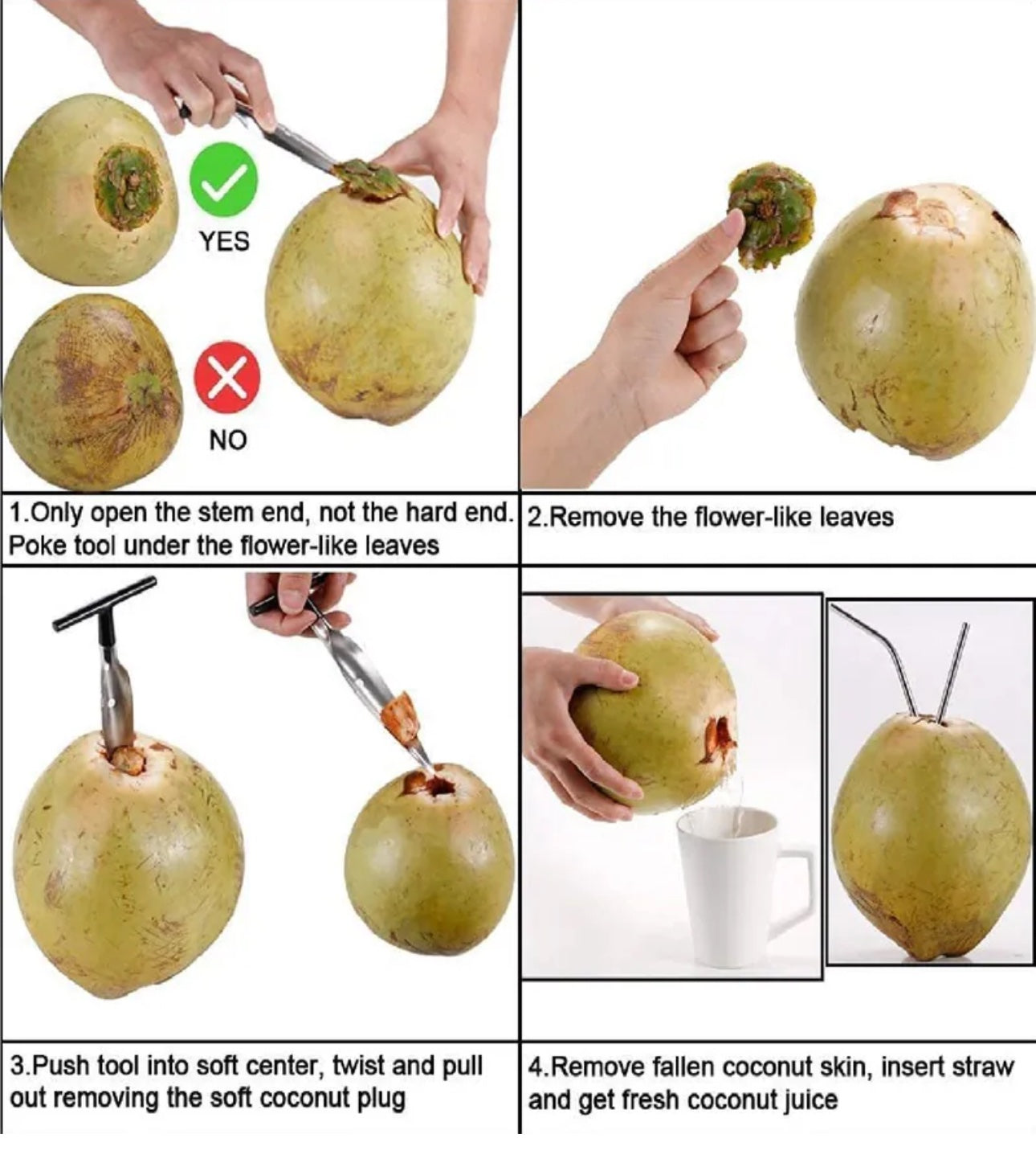 Coconut Opener