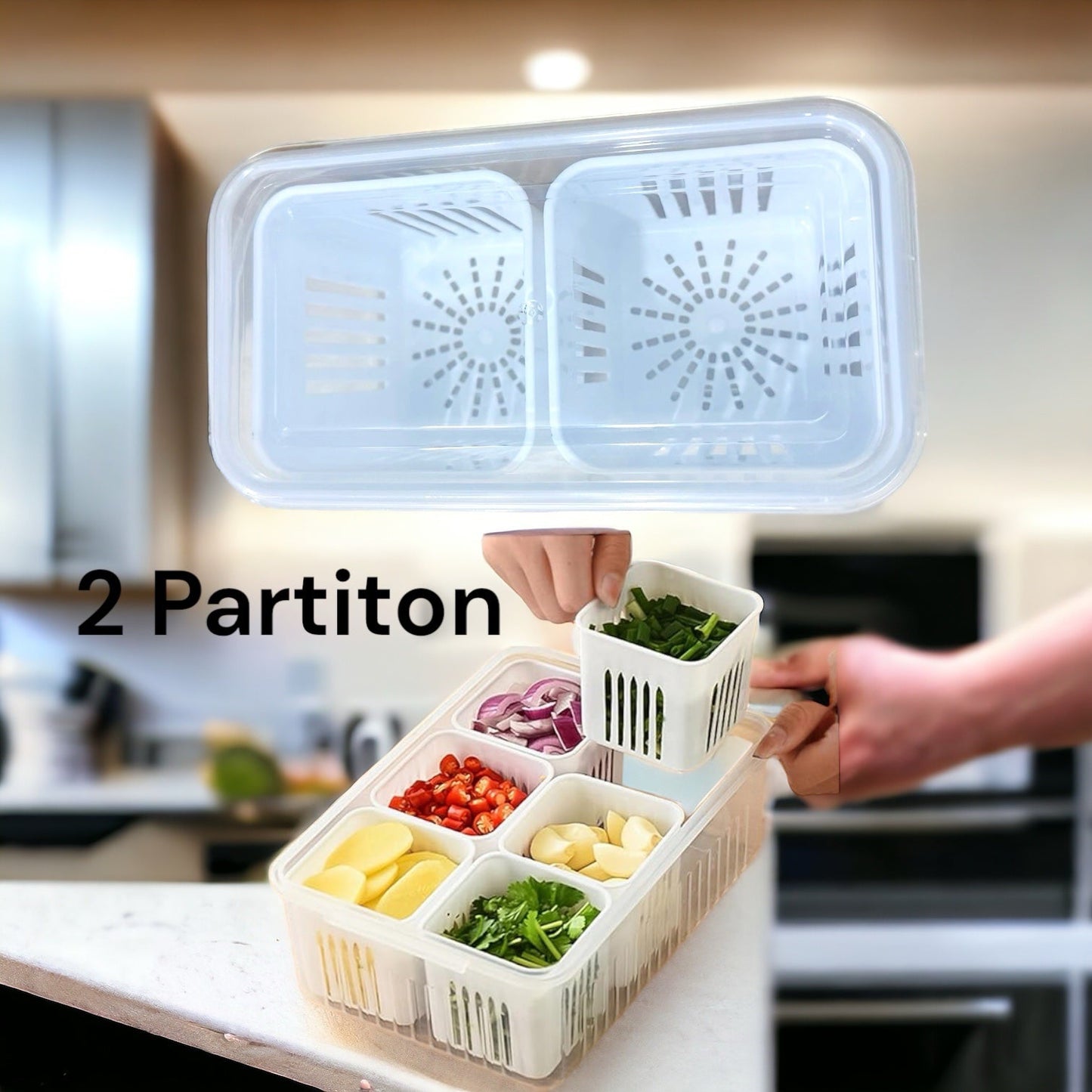 Fridge box 2 Partiton