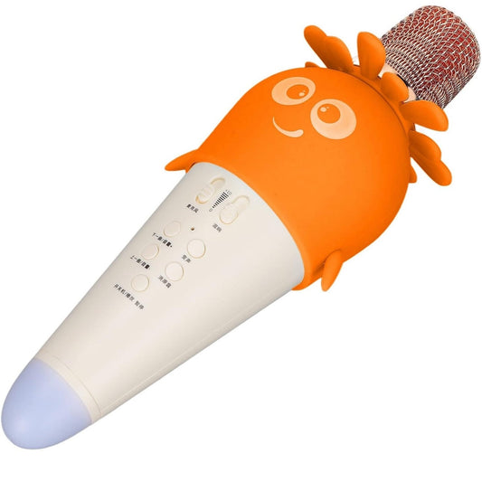 Kids Karoake Mic
