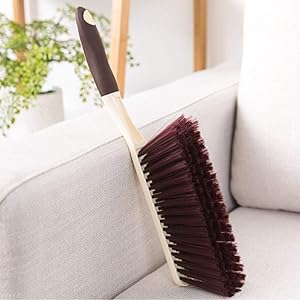 Carpet Cleaning Brush