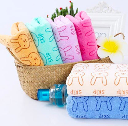 Microfiber Cloth Pack Of 5