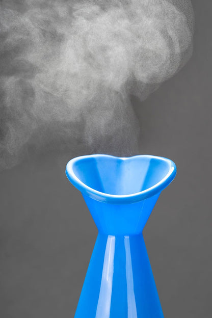 Vaporiser / Steamer
