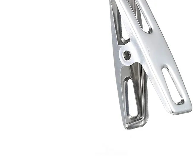 SS Clip (Pack Of  20 Piece )
