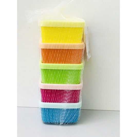 Mini Container 5PC Set