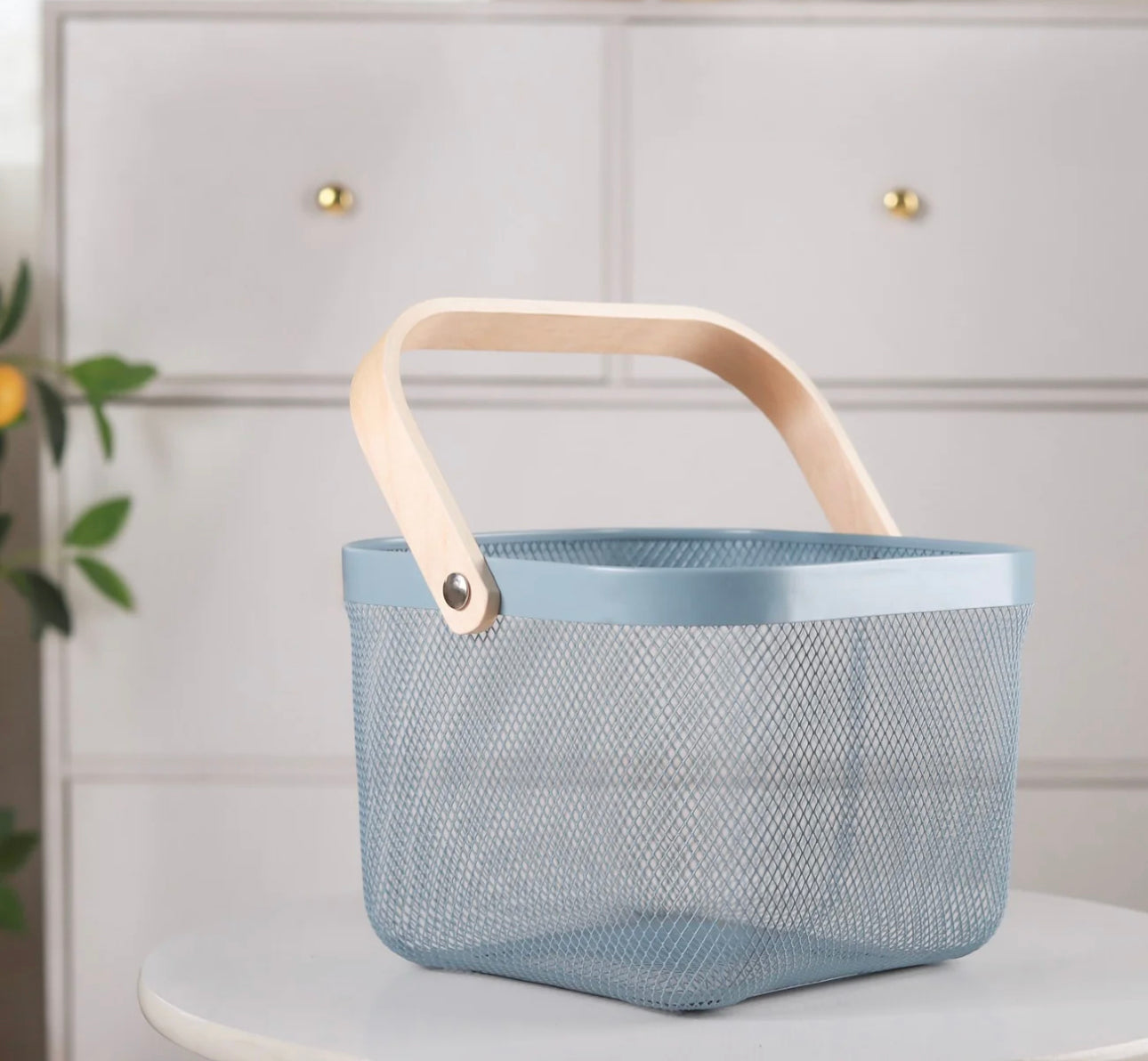 Metal Mesh Basket With Handle