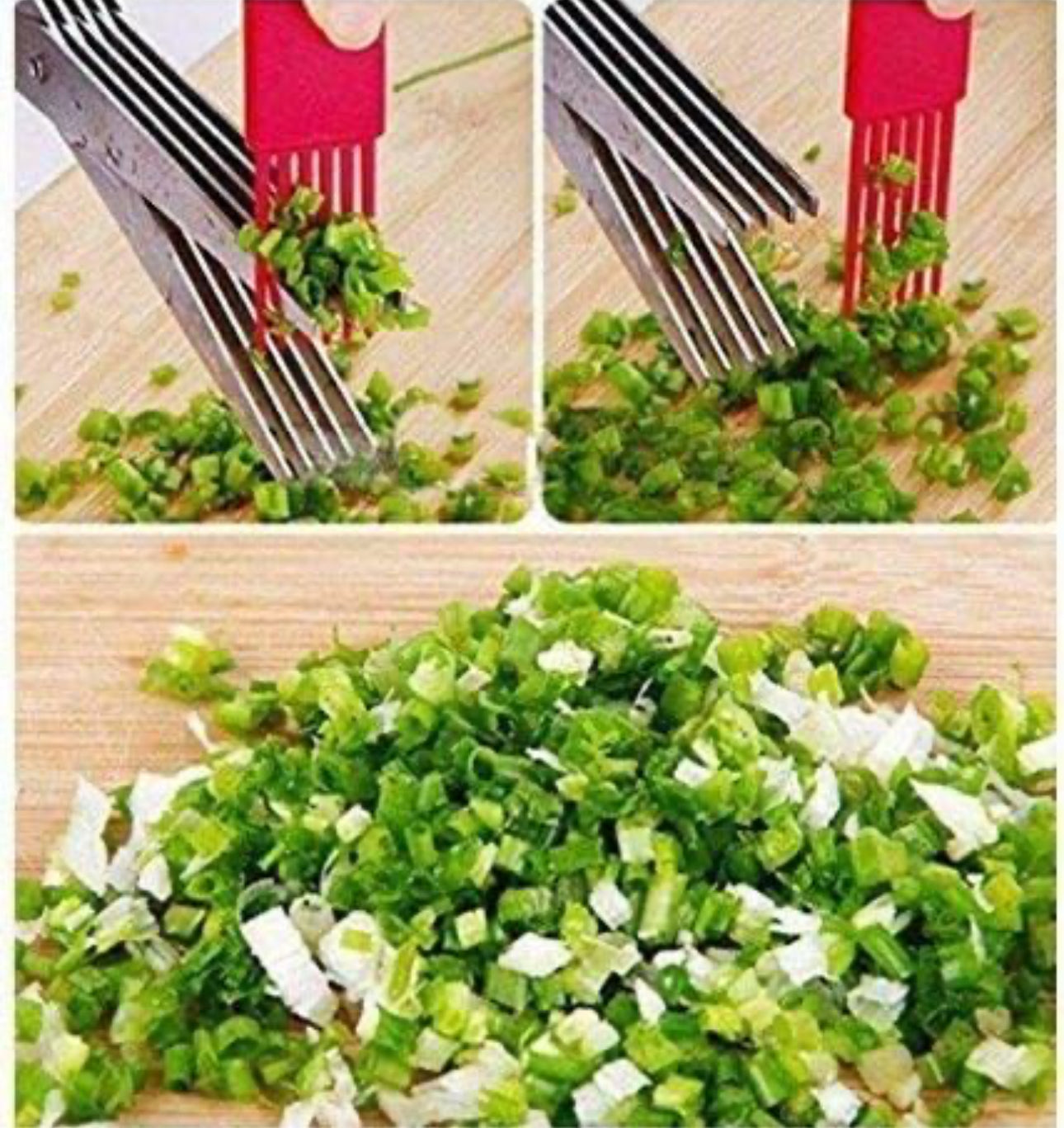 Vegetable SS  Herbs Scissor