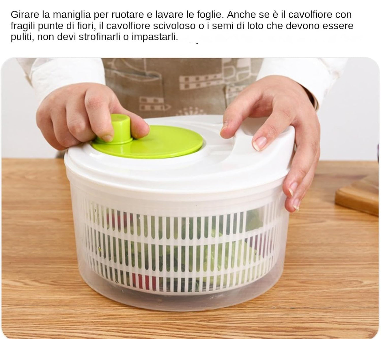 Vegetable /Fruit Washer