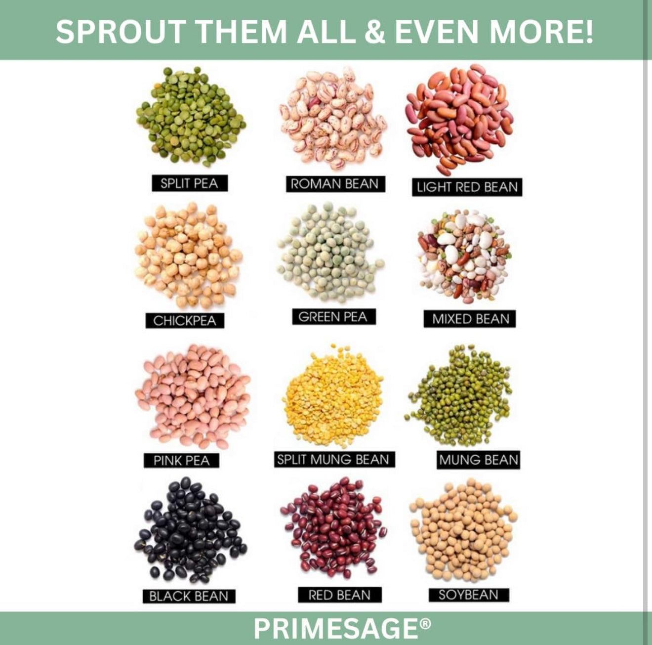 Sprout Maker 700ML