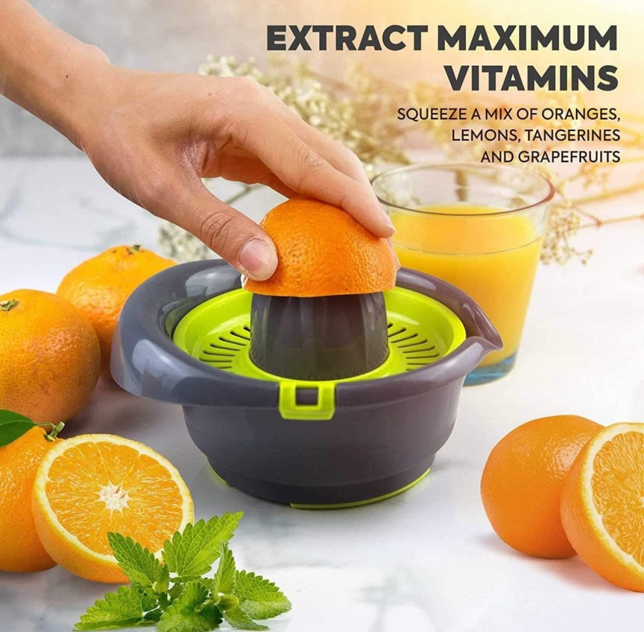 Plastic Hand Juicer