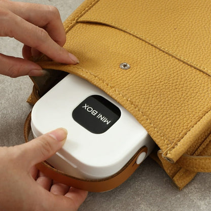 Portable Jewellery Organizer