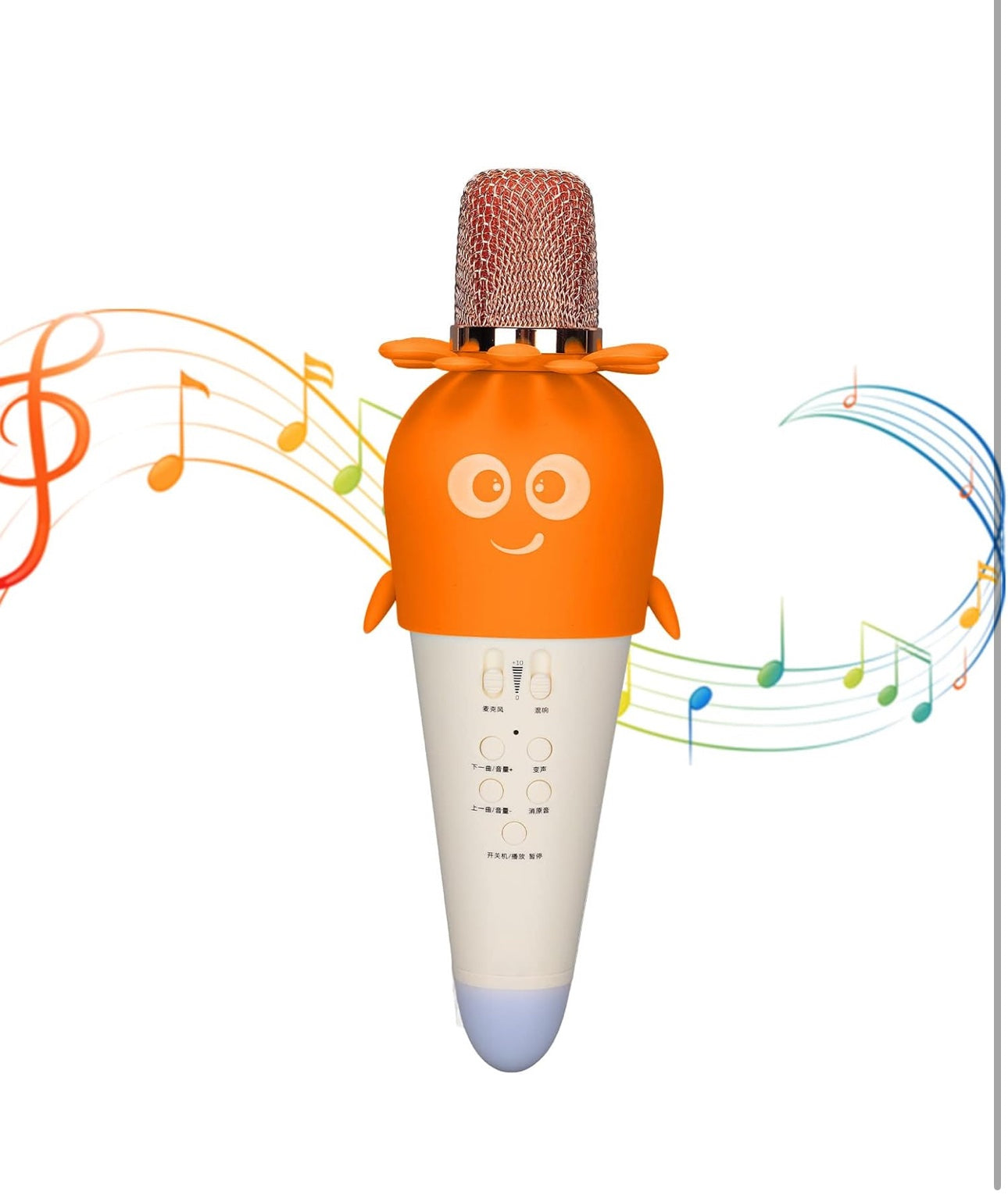 Kids Karoake Mic
