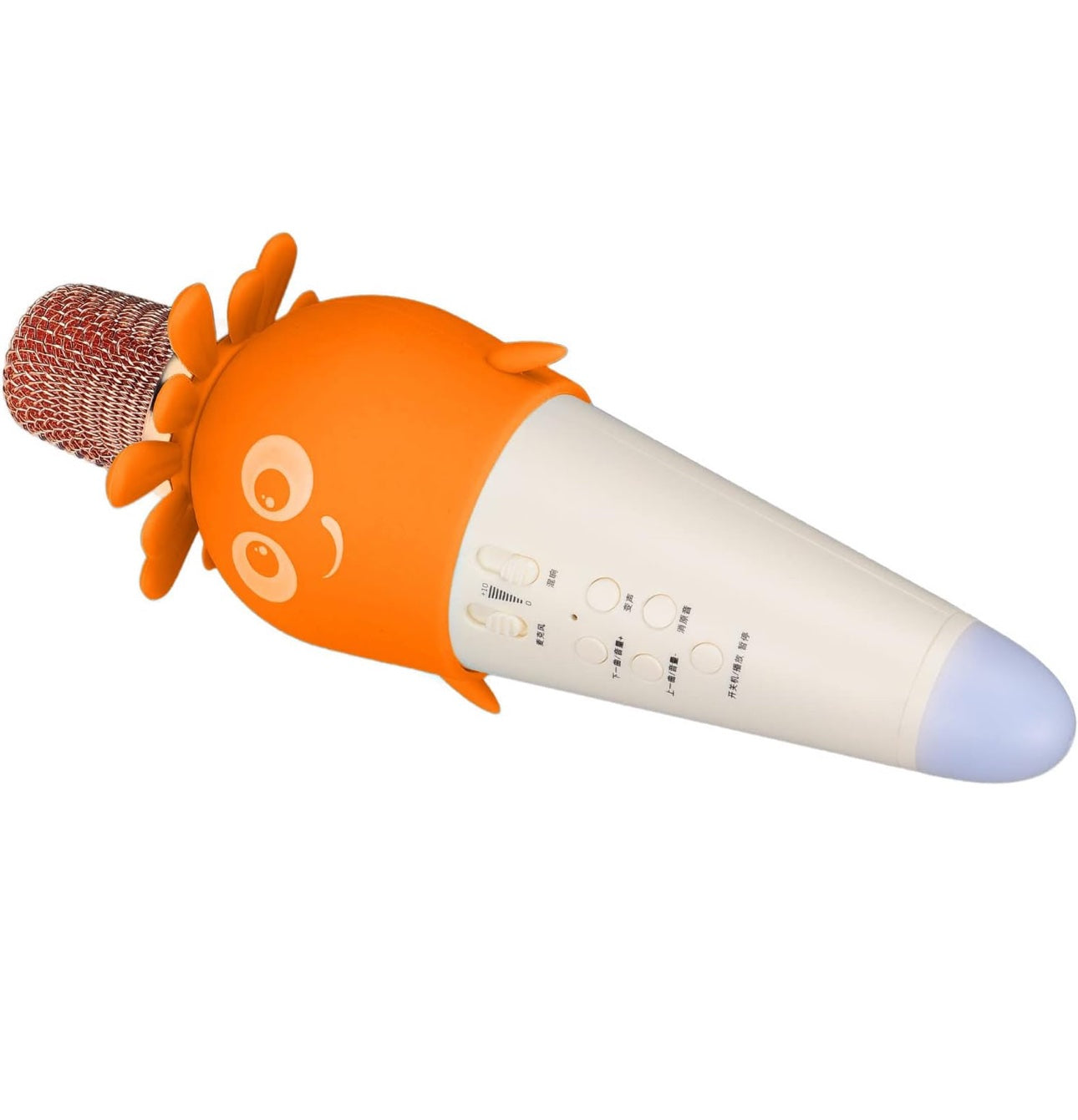 Kids Karoake Mic
