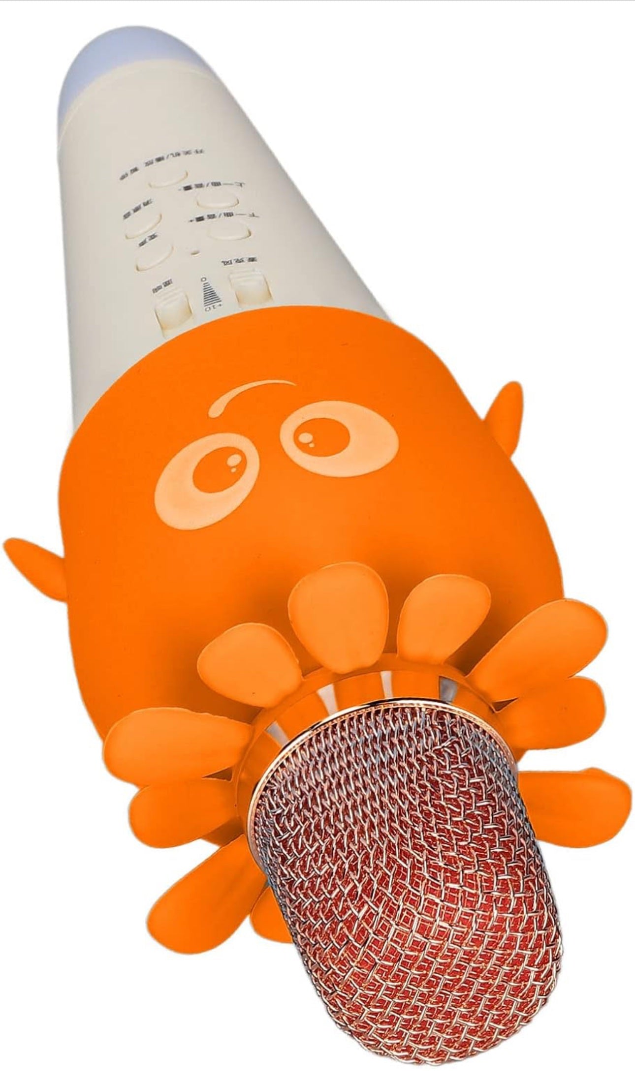 Kids Karoake Mic