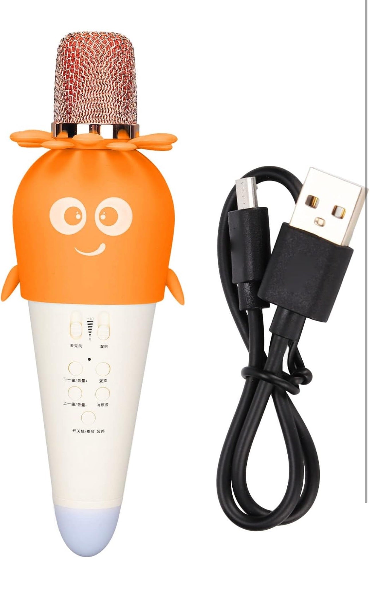 Kids Karoake Mic