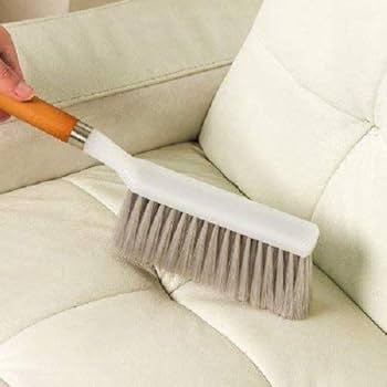 Carpet Cleaning Brush